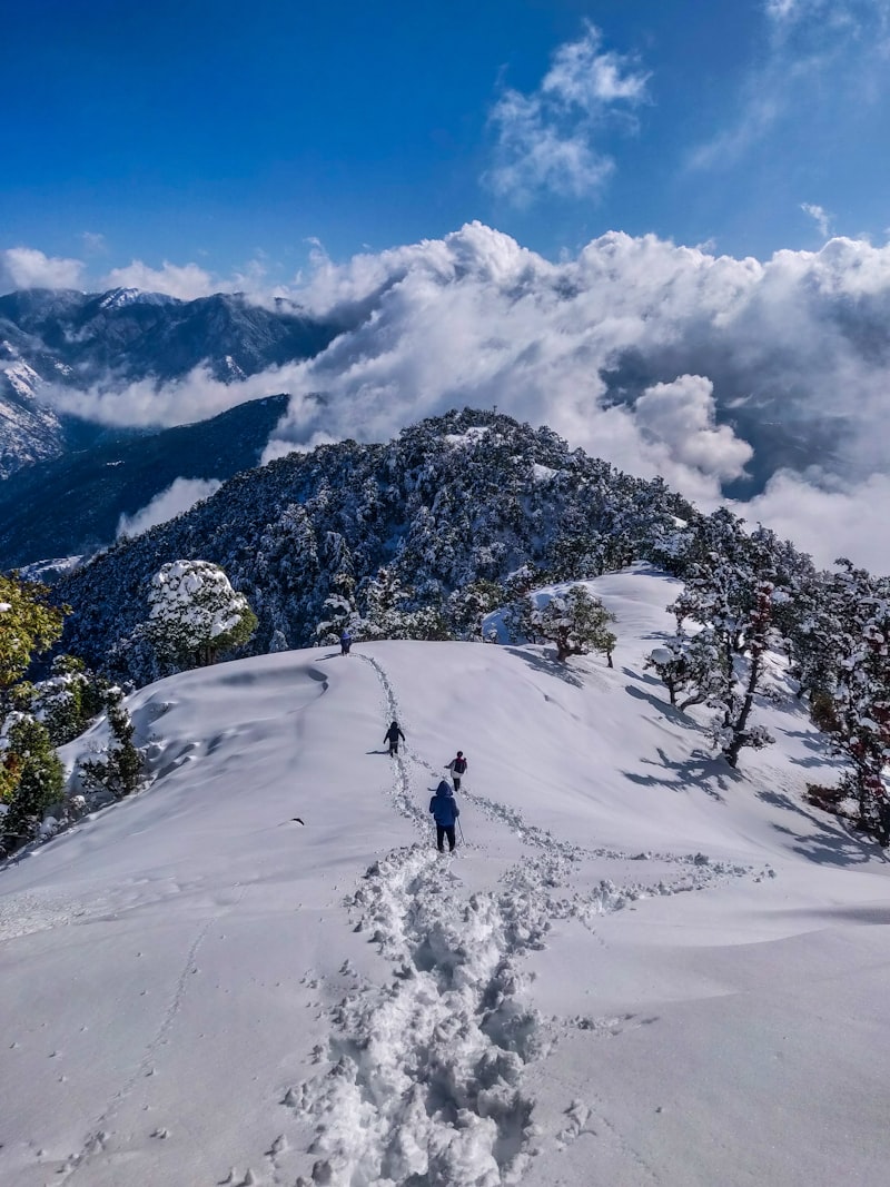 Snowy Peaks of Manali